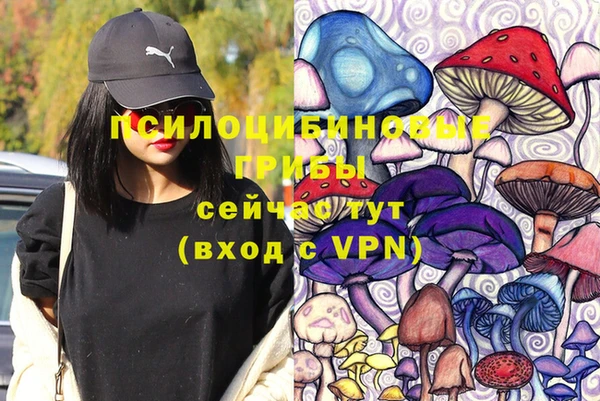 твердый Балахна