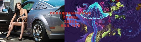 твердый Балахна